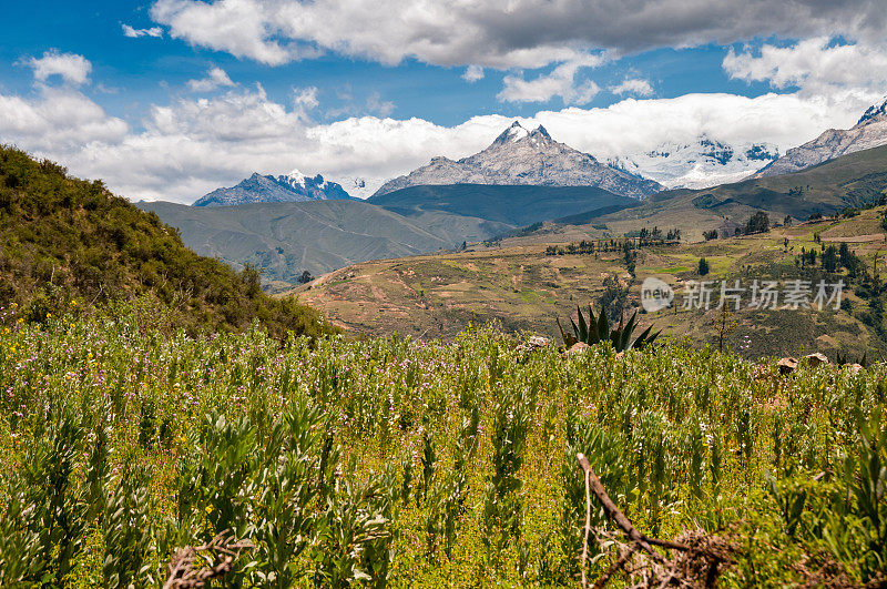 秘鲁瓦拉兹附近的圣塔谷(Callejón de Huaylas)